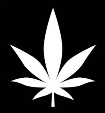 What is Medical Marijuana?