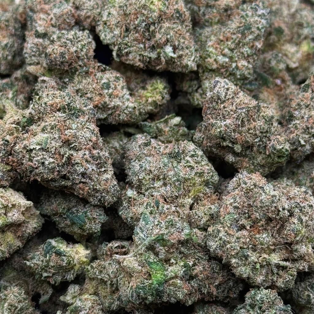 BLING CHEESECAKE 33.7