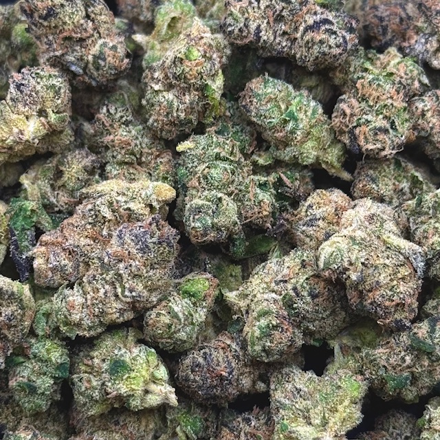 GRAPE GAS SMALLS 31.6