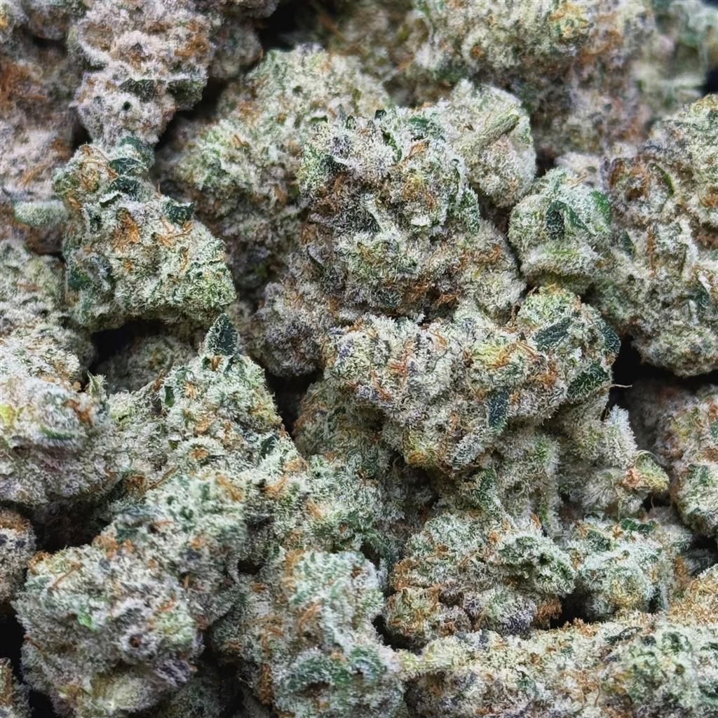 ISLAND SWEET SKUNK 35