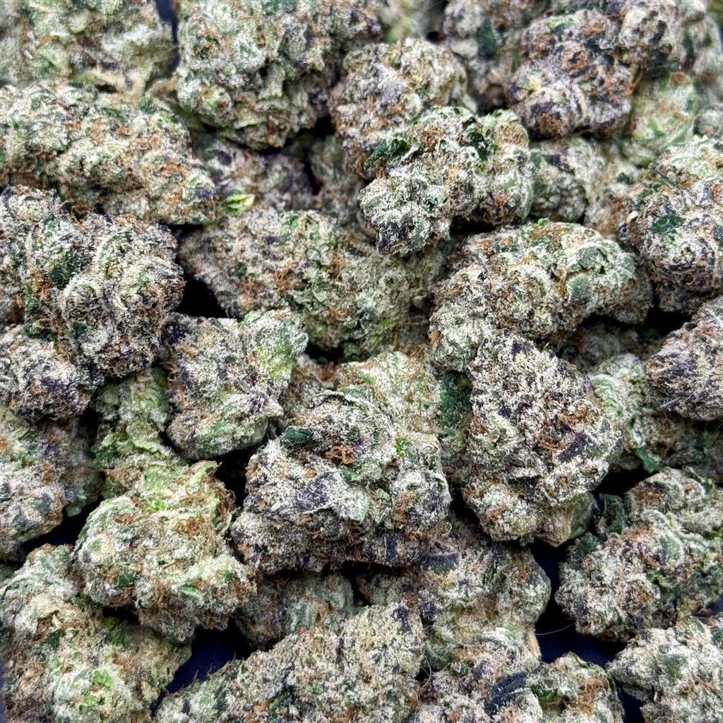 JET FUEL GELATO 36.24