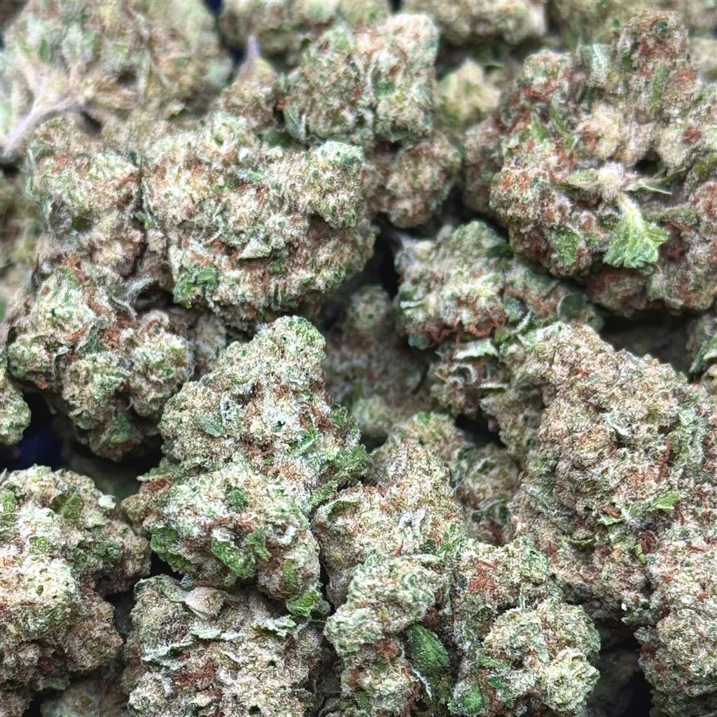 PAPAYA BOMB 26.77%