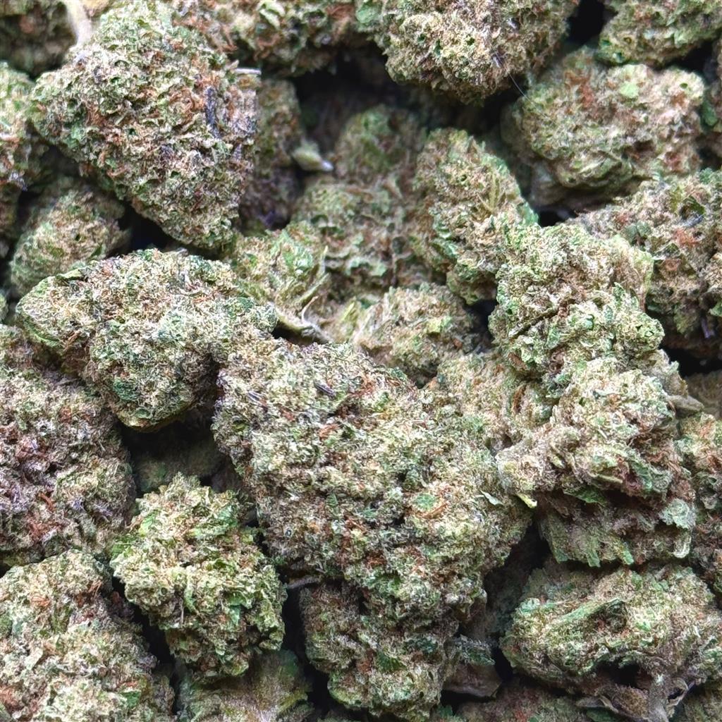 ZOOKIES 26.63%