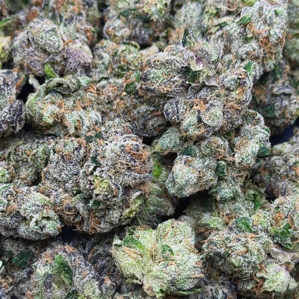 BLUE NERDZ 36.24%