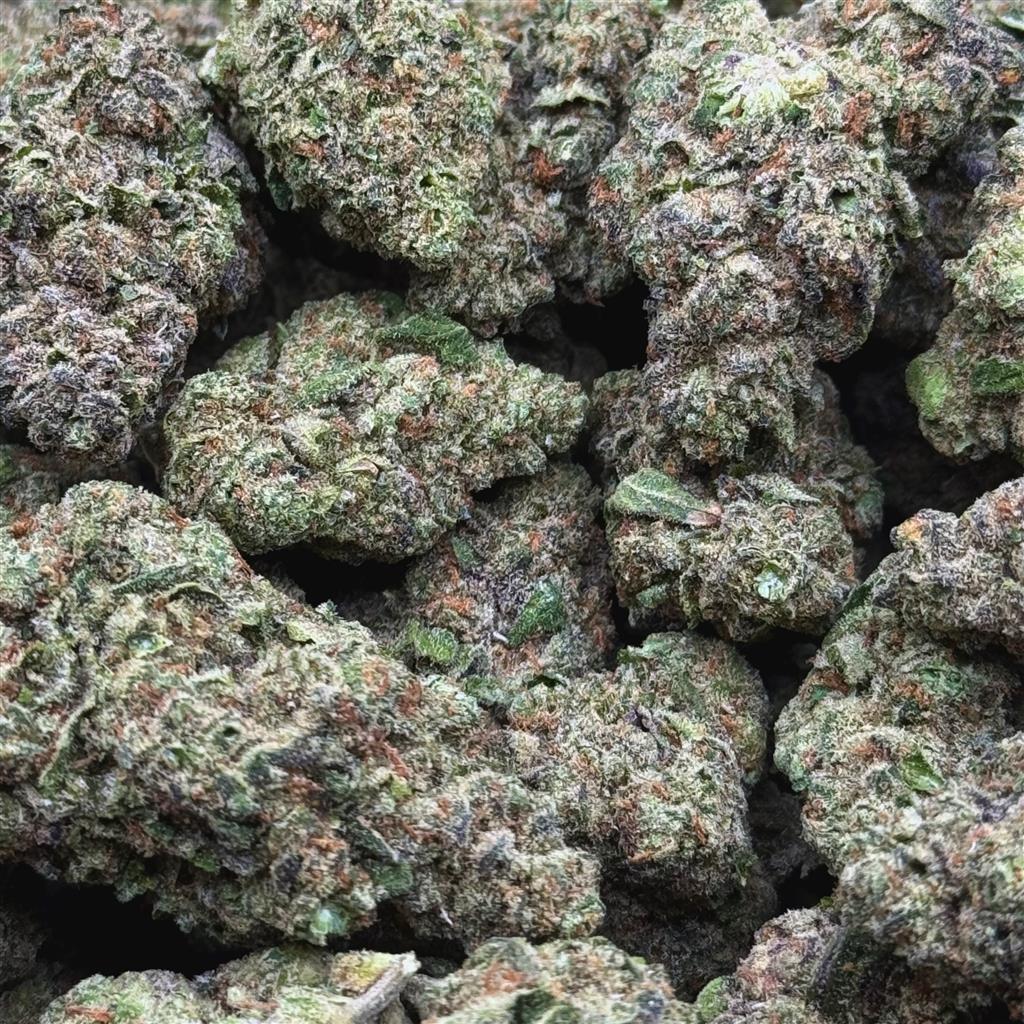 CREAMSICLEZ 28.74%