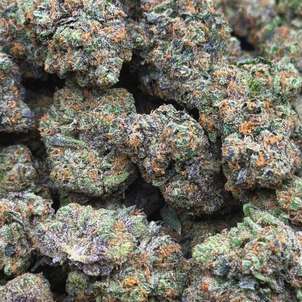 KINGPIN KUSH 30.12%