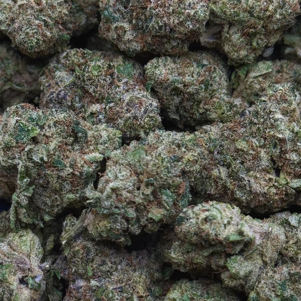 PINEAPPLE BREEZE 31.2